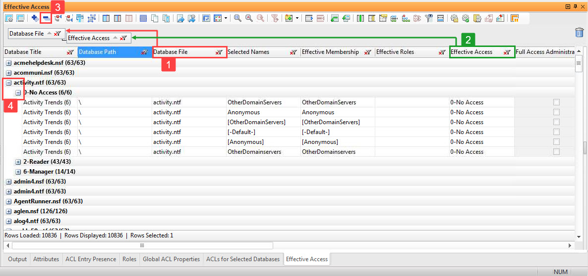 You can categorize your data by any combination. A useful combo is to categorize by 'Datebase File' and then 'Effective Access'.